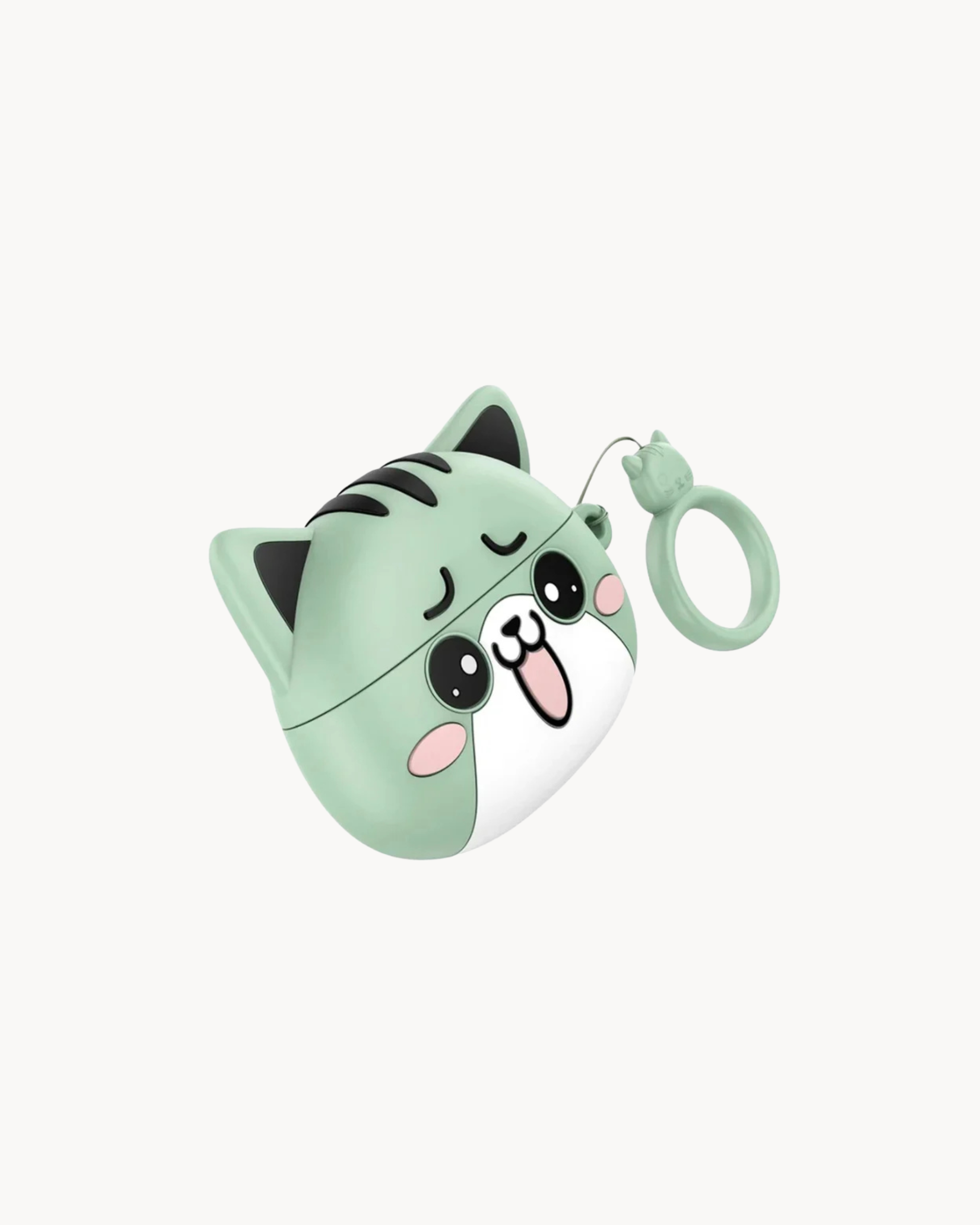 Hoco TWS Earbuds with Silicone Case EW48