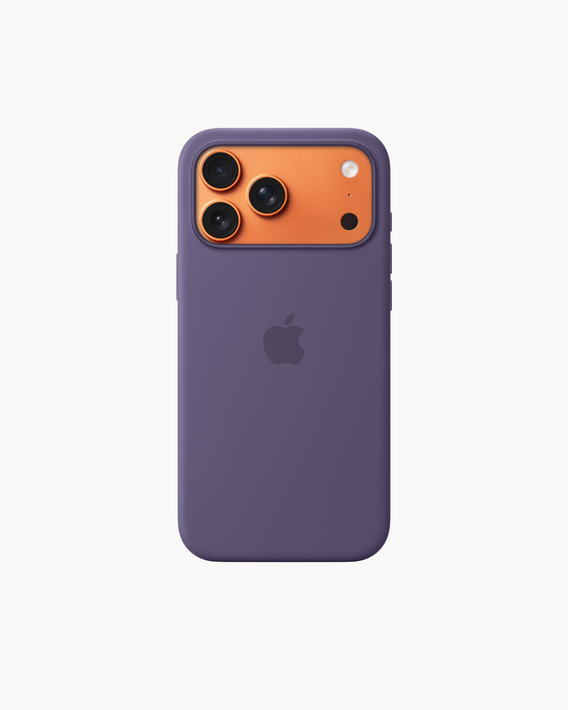 Silicone 17 Pro Max /  17 Pro Case