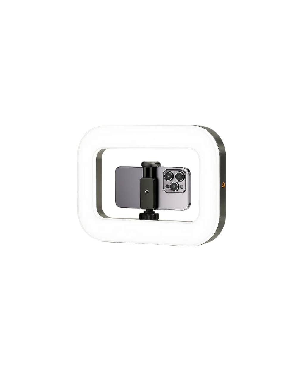 Camera ring light video rig