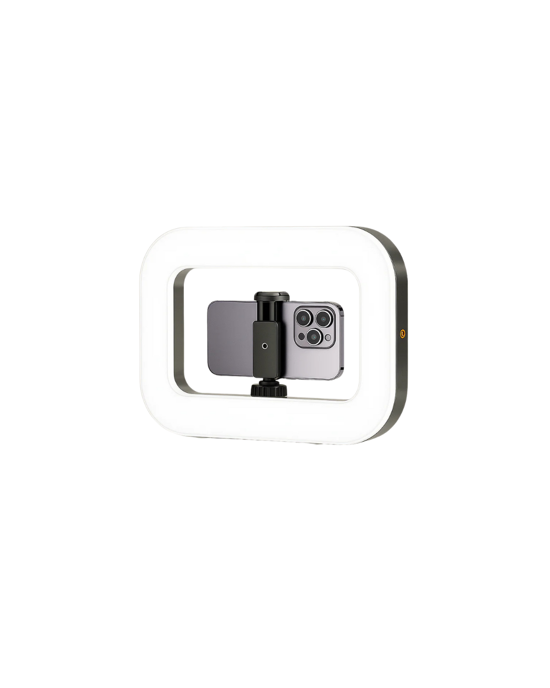 Camera ring light video rig