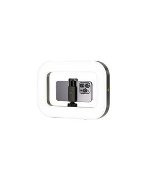 Camera ring light video rig